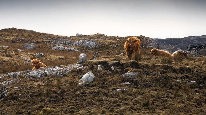3-Day Hebrides Tour from Inverness: Isles of Lewis and Harris - Key points worth knowing before you go