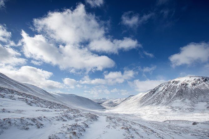Cairngorms & Whisky Day Tour from Inverness Including Admission - Who this whisky and Cairngorm day trip is for