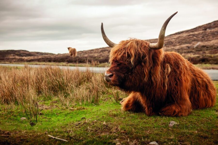 From Inverness: 3-Day Orkney Explorer - Who this Orkney Explorer tour is best for